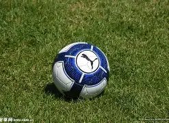 运动巨星粉,丝排行榜公,揭秘最受热,江南体育平台,江南体育官方网站,江南体育登录入口,江南体育app下载