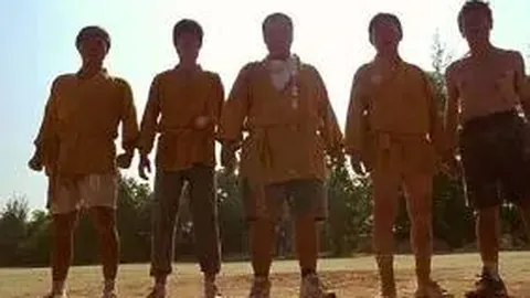 江南体育 资讯 134943 zx8