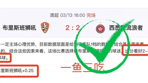 老鹰节后强势崛起，对阵雄鹿连战两场豪取33分大胜！